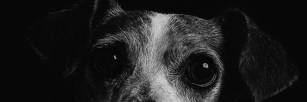 marinaggn's profile banner image