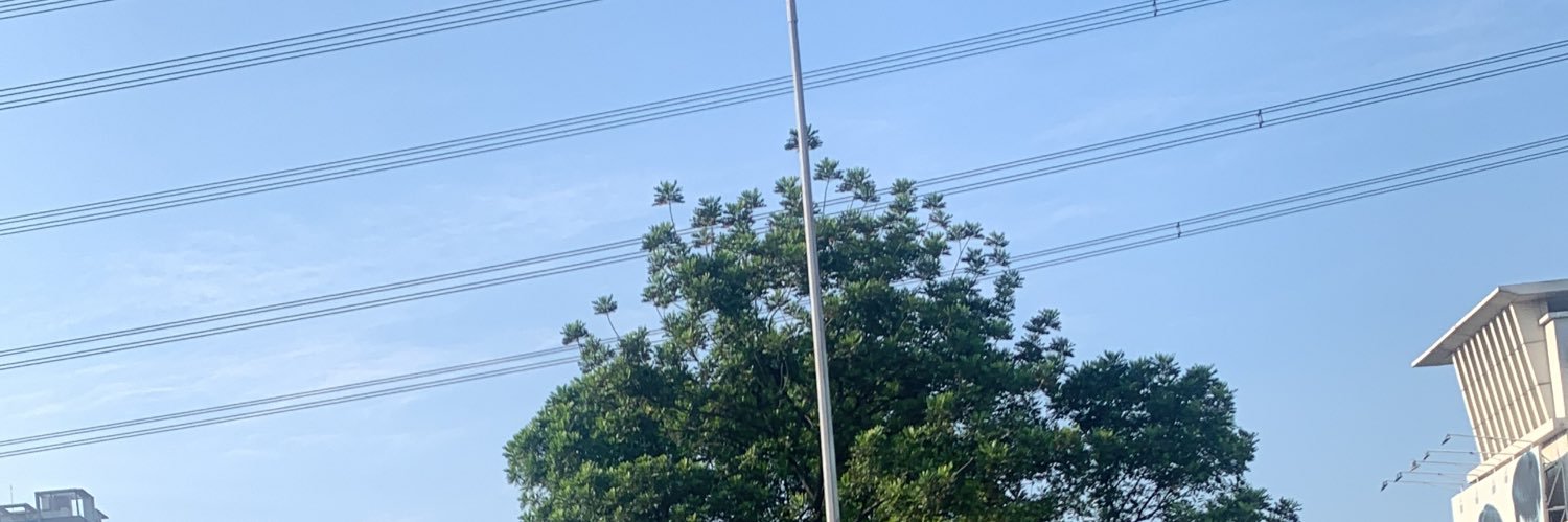 toriharitz banner