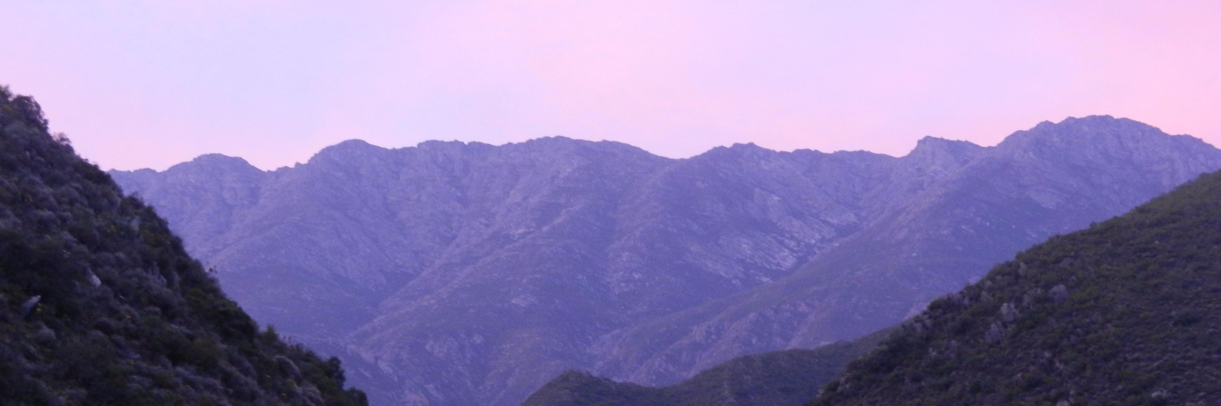 Silvia Hurst banner