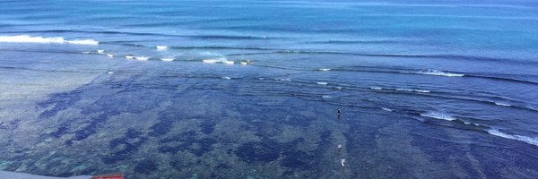 Coconuts_Bali Profile Banner