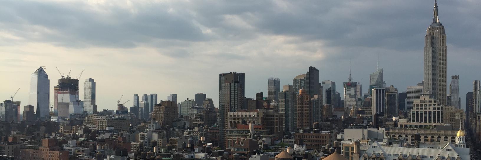 Find-A-Buddy NYC banner
