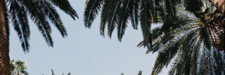 petitpoulet___'s profile banner image