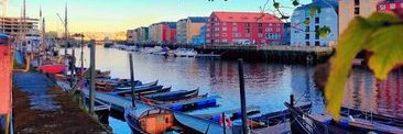 Knut36_1's profile banner image