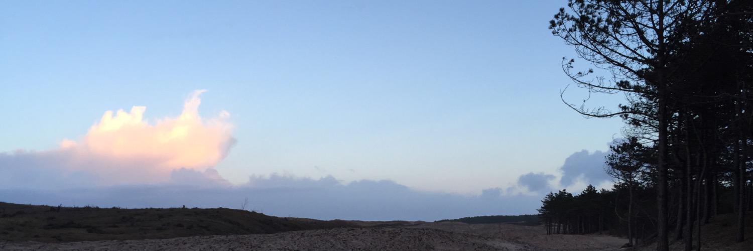 Patrick Ruijs banner