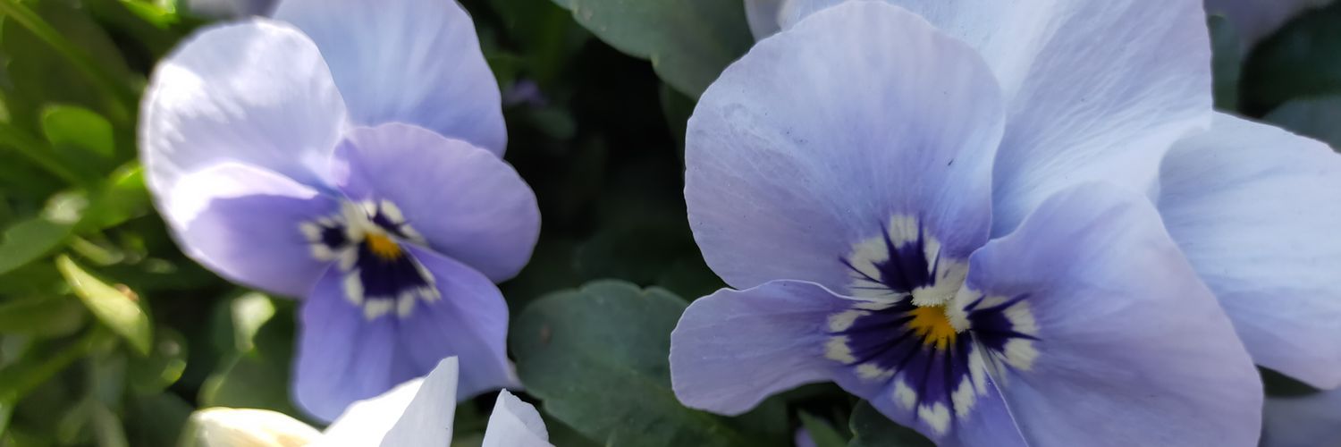 ErnavdBosch's profile banner image