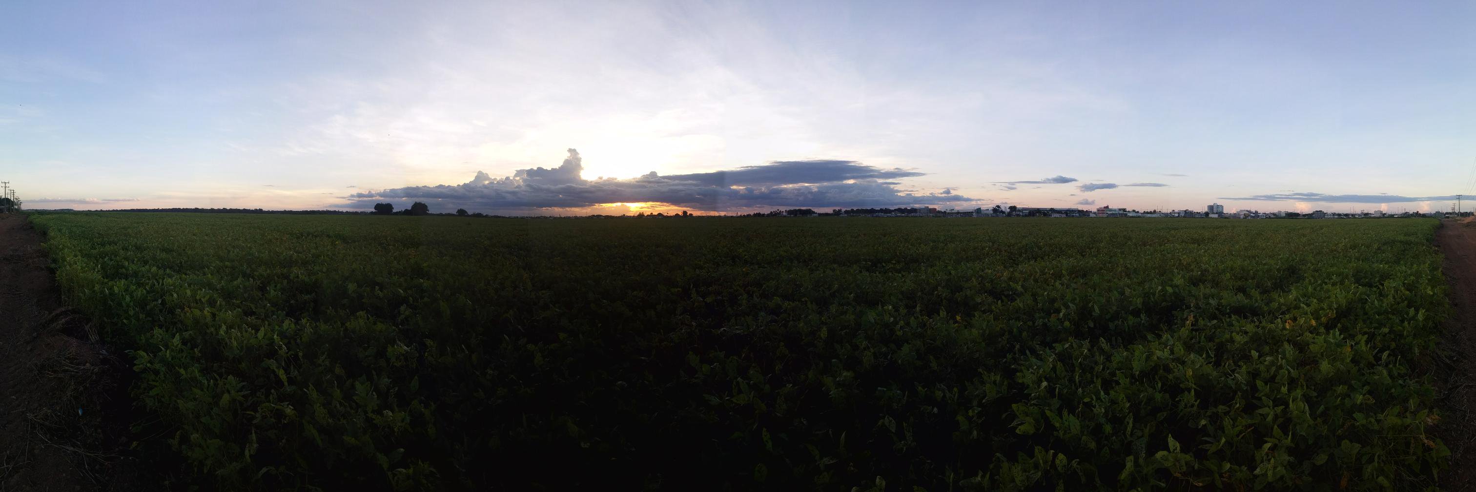 bywilltof's profile banner image