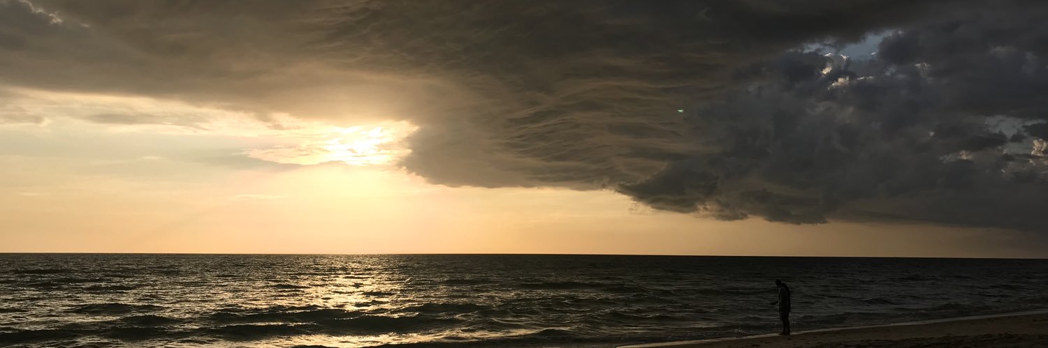 Dr. Laurie Williams banner