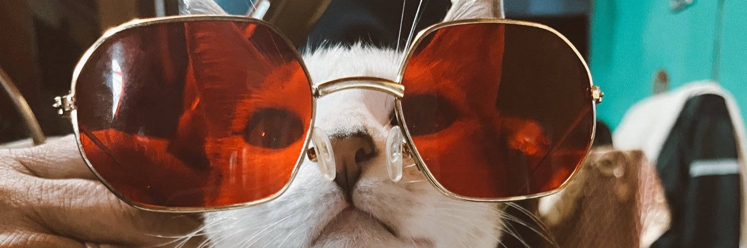 Brendaatoop's profile banner image