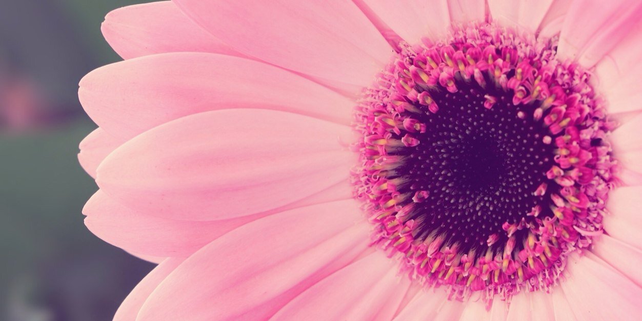 chechildessy's profile banner image