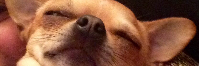 claire bethelll banner