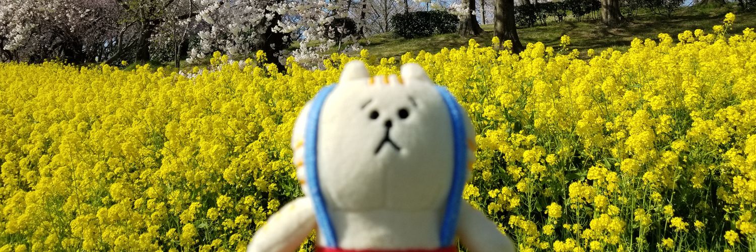 maru2125ab's profile banner image