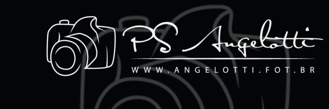 psangelotti's profile banner image