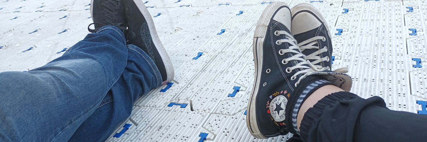 Eva Finnerty 🌻 banner