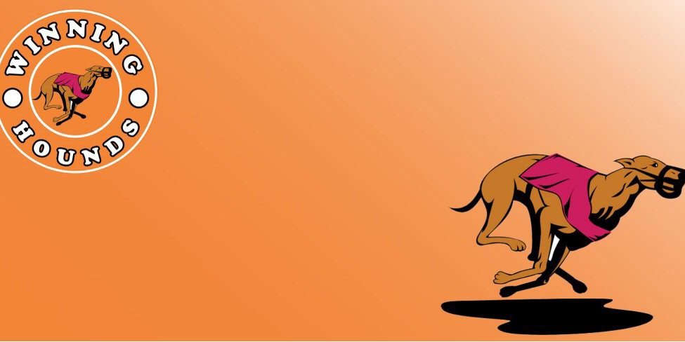 FreeBetHQ's profile banner image