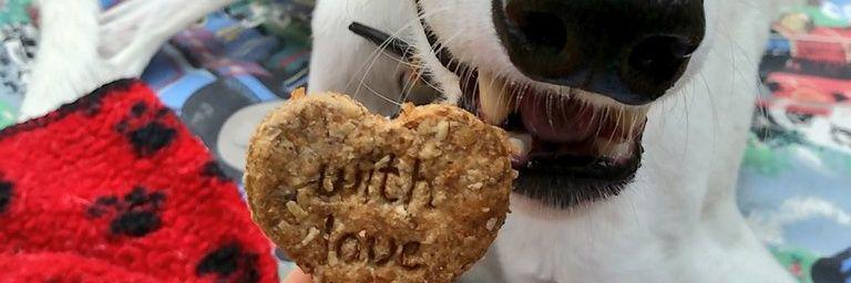 RescuedHound's profile banner image