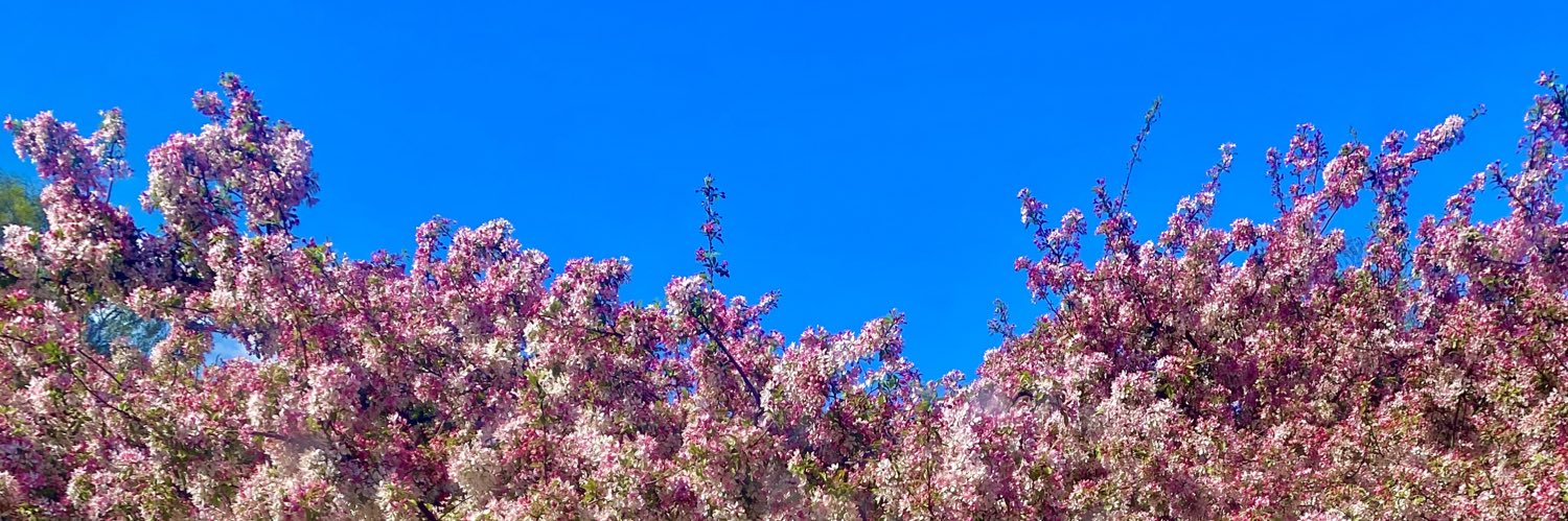 darcbowdler_'s profile banner image