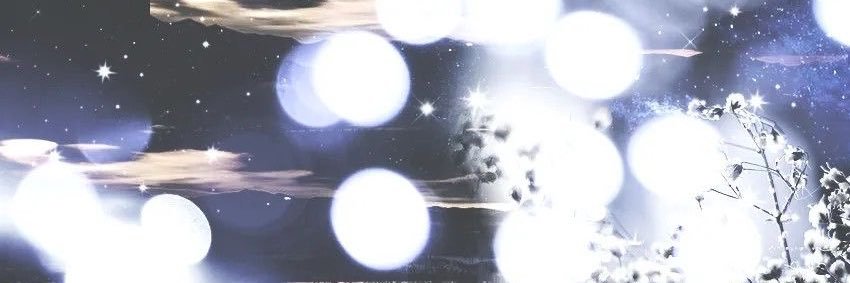Chae banner