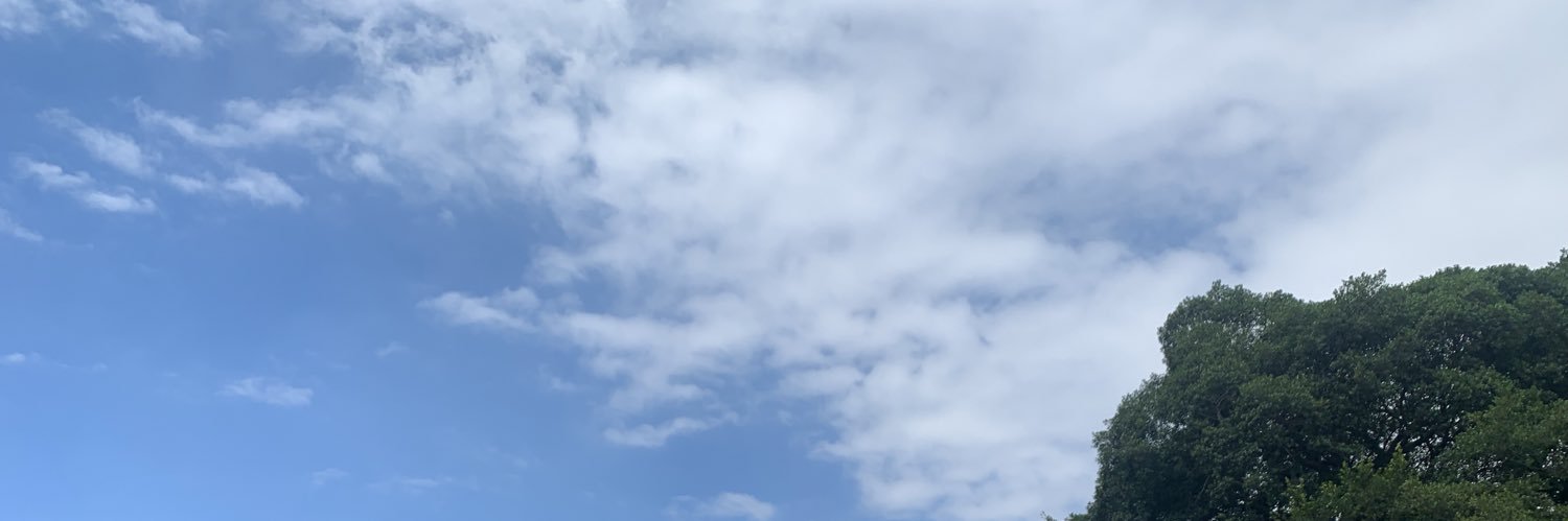 tedtsai0926's profile banner image