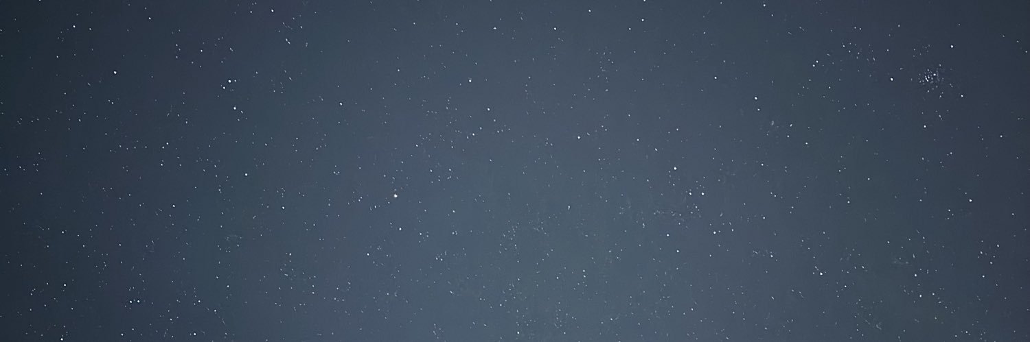 laurorneto's profile banner image