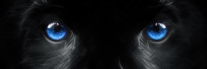 iodis banner