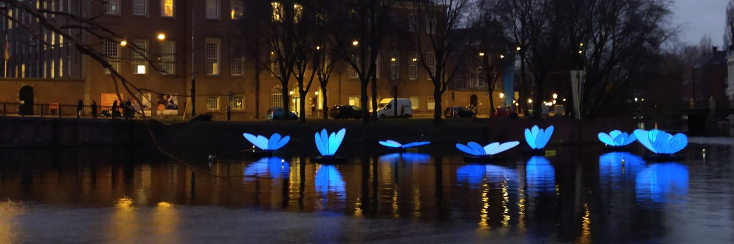 Marieke de Goede banner