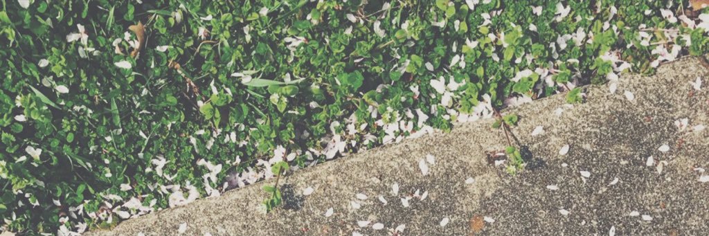 whippedfranta's profile banner image