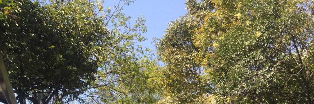 HuichoMx's profile banner image