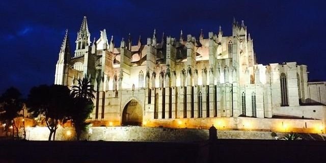 Rotary PalmaCatedral banner