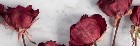 PrklSedef's profile banner image