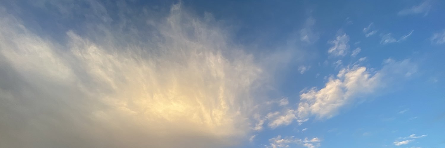 Simon_Plamenov's profile banner image