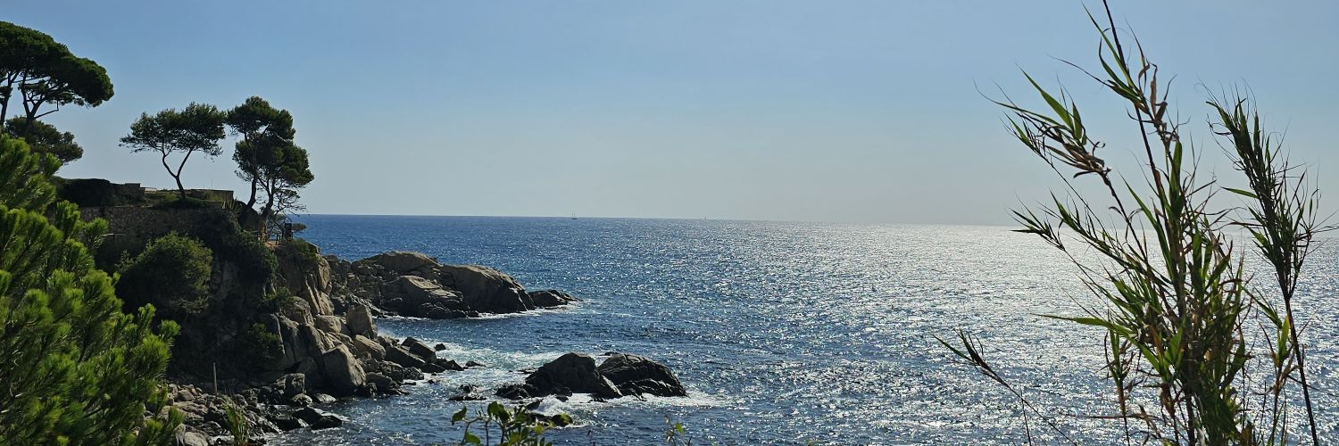 VincentBch's profile banner image