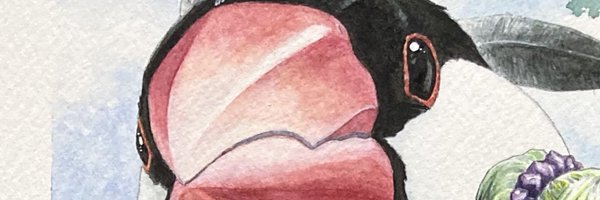 KatsumiAizaki Profile Banner