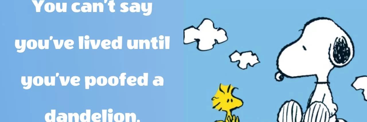 07Norton's profile banner image