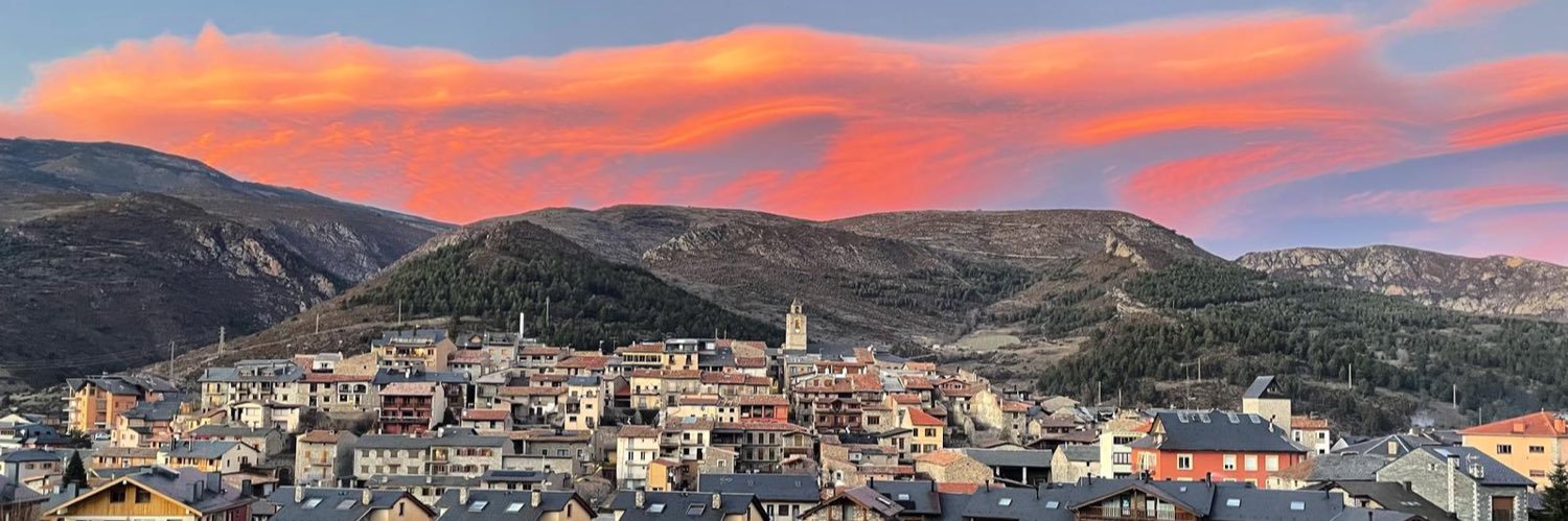 Ona Domènech banner