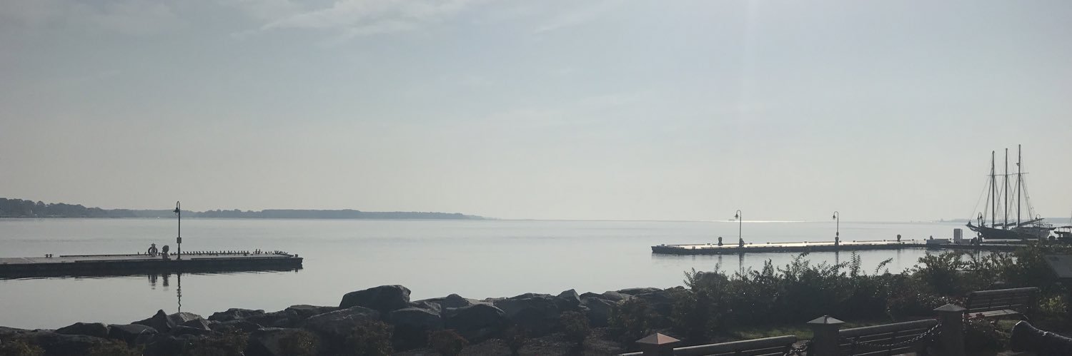 Kate Wolfe Maxlow banner