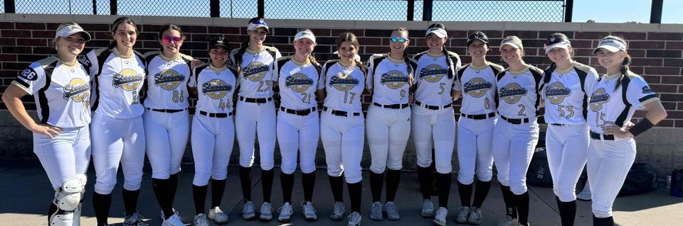 Chris Maynard banner