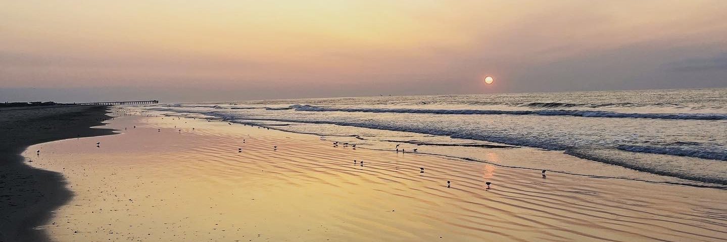 Ross Maghielse banner