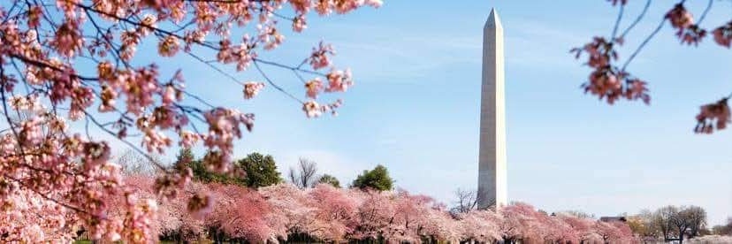 aggiesindc's profile banner image