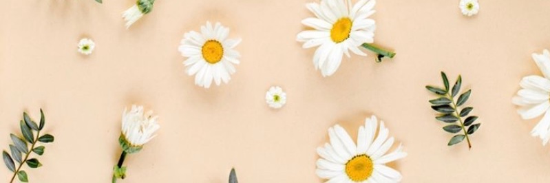 Torylm_'s profile banner image