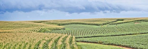 AgTech Futurist banner
