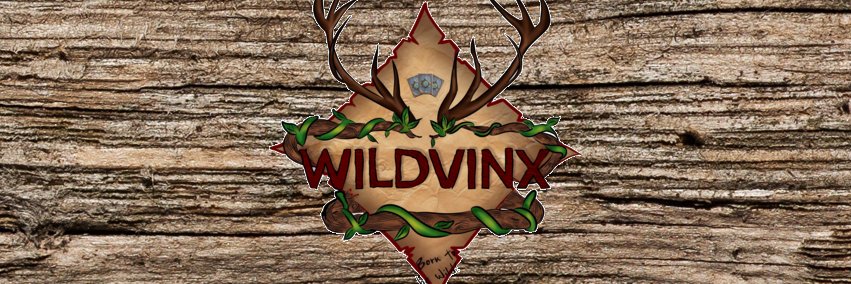 WildVinx's profile banner image