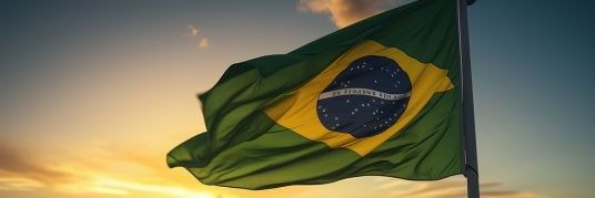 Paulo Victor banner