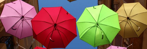 twykowski Profile Banner