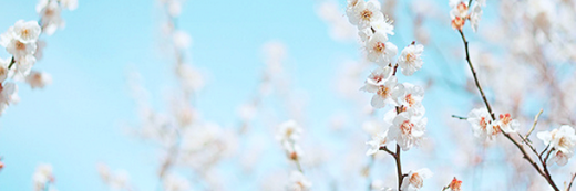 MARIAELENA_CF's profile banner image