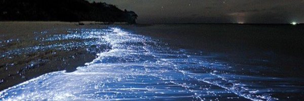 _char_lottiiee Profile Banner