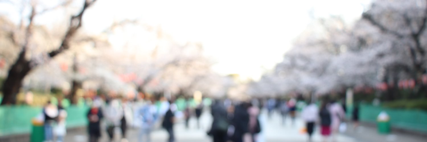 silent_leaf49's profile banner image