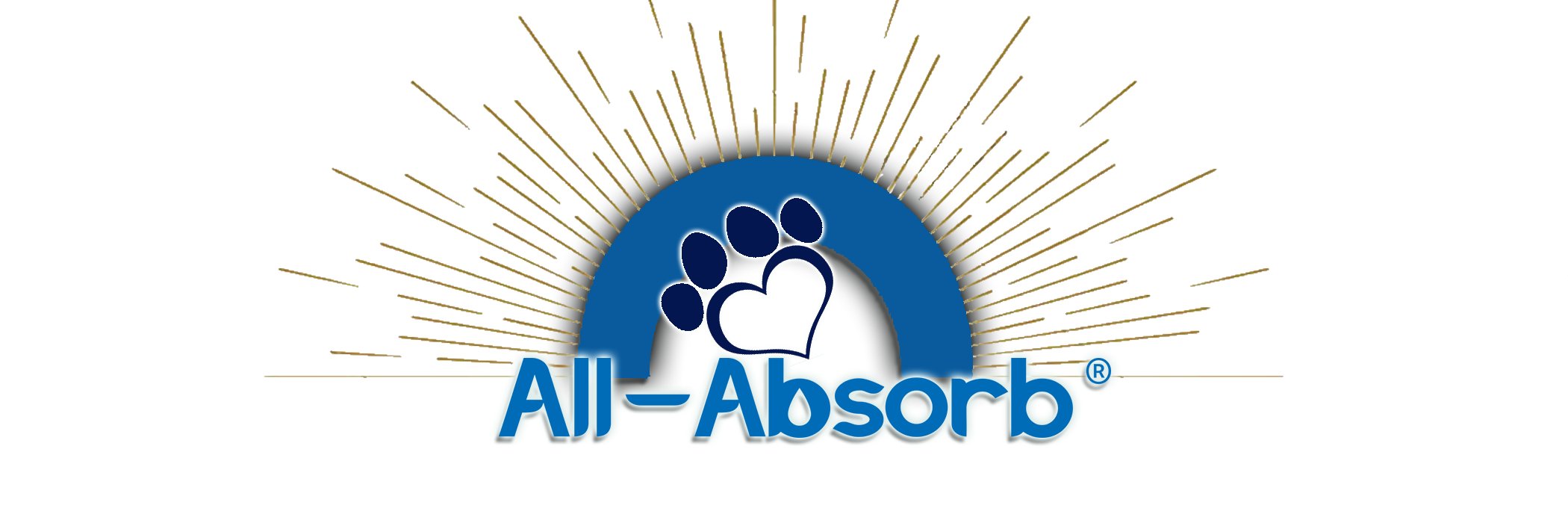 AllAbsorb's profile banner image