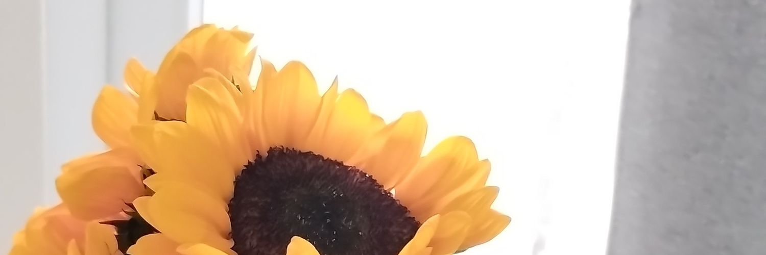 citizendiscip's profile banner image