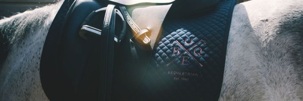 B_Equine Profile Banner