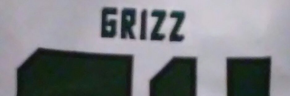 Mitchell Allen banner